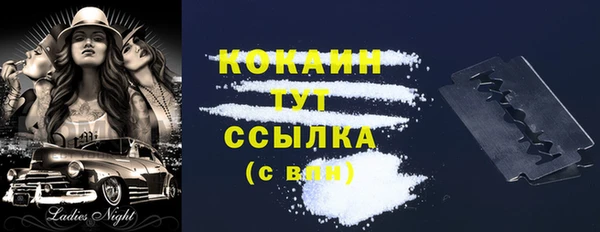 ГАЛЛЮЦИНОГЕННЫЕ ГРИБЫ Абаза
