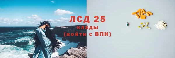 стаф Абинск