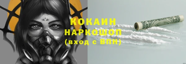 ГАЛЛЮЦИНОГЕННЫЕ ГРИБЫ Абаза