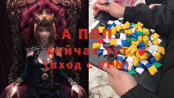 стаф Абинск
