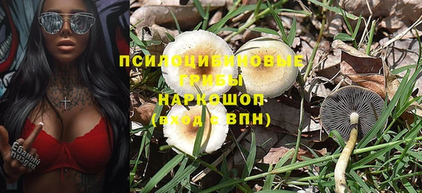 ГАЛЛЮЦИНОГЕННЫЕ ГРИБЫ Абаза