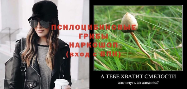 ГАЛЛЮЦИНОГЕННЫЕ ГРИБЫ Абаза
