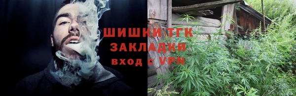ГАЛЛЮЦИНОГЕННЫЕ ГРИБЫ Абаза