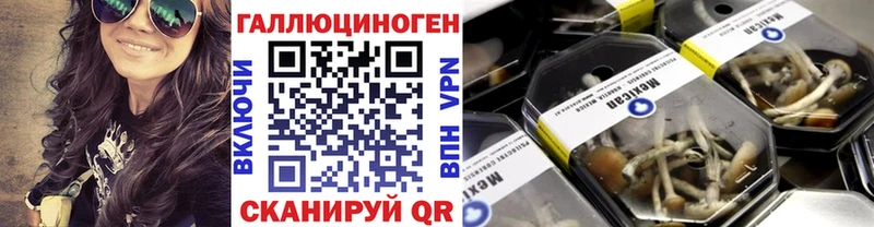 наркошоп Приморско-Ахтарск нарко площадка как зайти Псилоцибиновые грибы Psilocybe